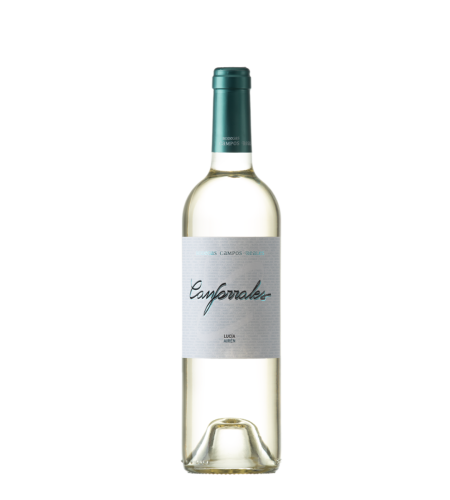 Canforrales Blanco Lucia DO La Mancha Weißwein Spanien trocken